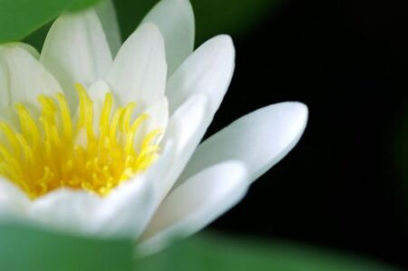 The 30-Minute Meditation Method Image